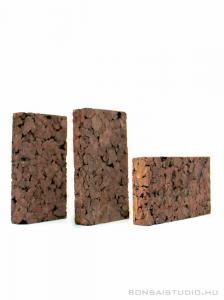 Tillandsia parafa 3db - epifita lap csomag 02.