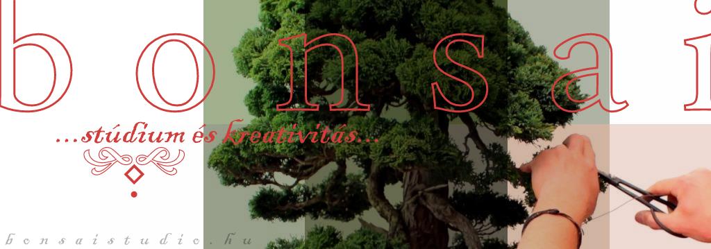 bonsai, bonsai alakitas, bonsai gondozasa, bonsai nevelese, bonsai metszese bonsai alakitasa gondozasa es nevelese